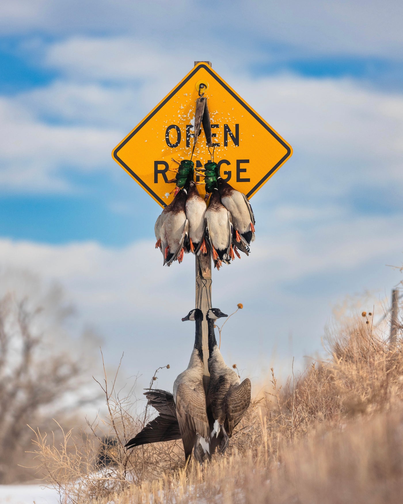 Open Range