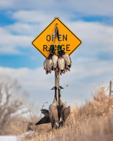 Open Range