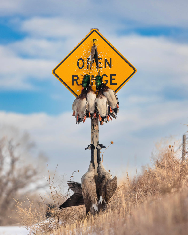 Open Range