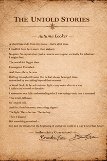 Autumn Looker
