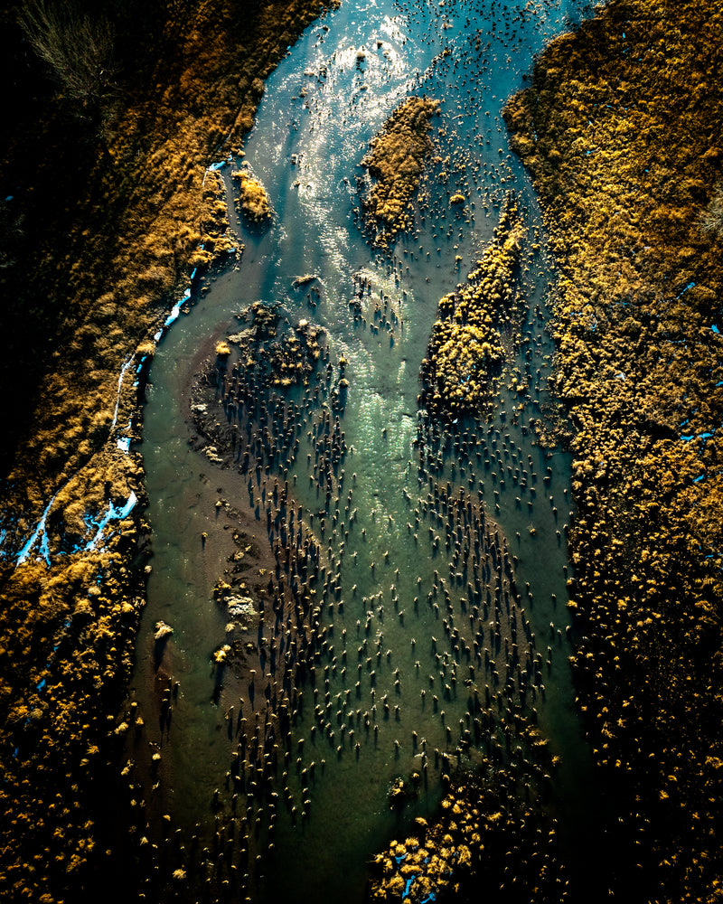 The Platte